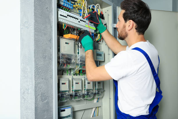 Best Electrical Upgrades for Homes  in Denmark, WI