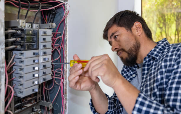 Best Generator Installation Services  in Denmark, WI